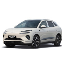 Sea Lion 06 (2025-...)