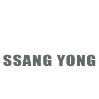 SSANG YONG